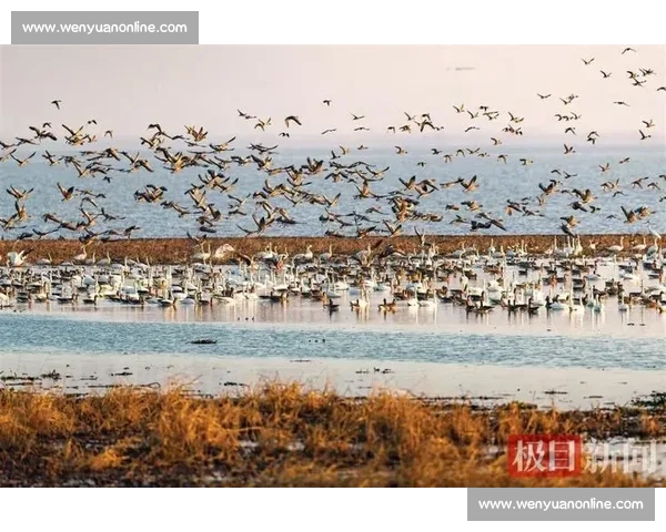 2017年度全国摄影大赛作品征集与参赛须知发布
